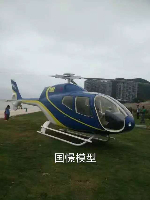 金溪县飞机模型