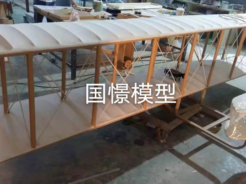 金溪县飞机模型
