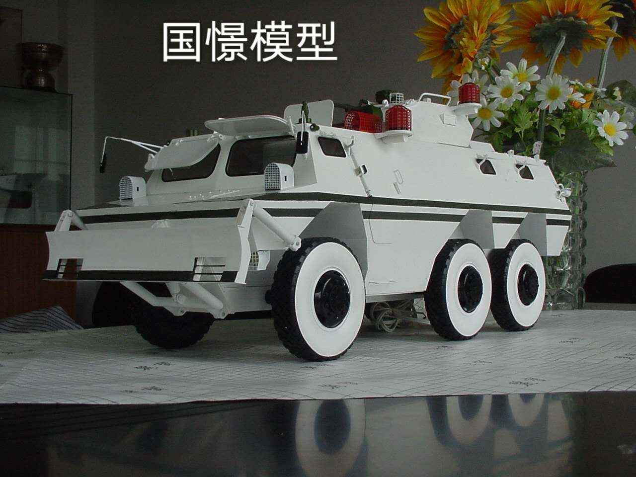 金溪县军事模型